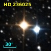 HD 236025