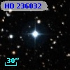 HD 236032