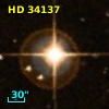 HD  34137