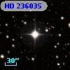 HD 236035