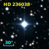 HD 236038