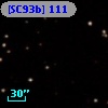 [SC93b] 111