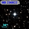 HD 236022