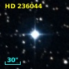 HD 236044