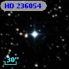 HD 236054
