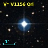 V* V1156 Ori
