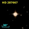 HD 287667