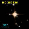 HD 287836