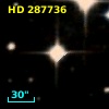 HD 287736