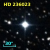 HD 236023
