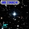 HD 236024