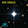 HD  35613