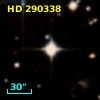 HD 290338