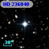HD 236040