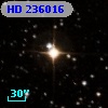 HD 236016