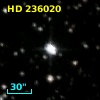 HD 236020