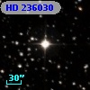 HD 236030