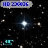 HD 236036
