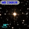 HD 236039