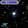 HD 236060