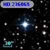 HD 236068