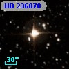 HD 236070