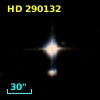 HD 290132