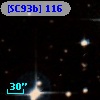 [SC93b] 116