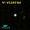 V* V1193 Ori