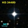 HD  34480