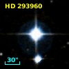 HD 293960