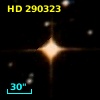 HD 290323