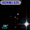 [SC93b] 125