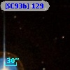 [SC93b] 129