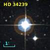 HD  34239