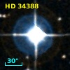 HD  34388