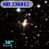 HD 236012