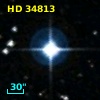 HD  34813