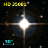 HD  35081