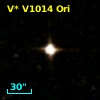 V* V1014 Ori