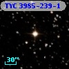 TYC 3985-239-1