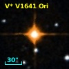 V* V1641 Ori