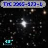 TYC 3985-873-1