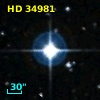 HD  34981