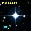 HD  35336