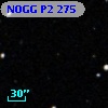 NOGG P2  275