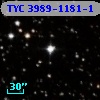 TYC 3989-1181-1