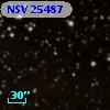 NSV 25487
