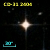 CD-31  2404