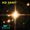 HD  34497